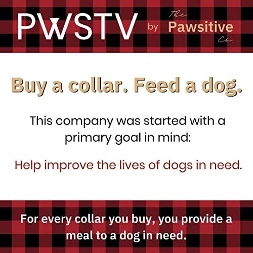 PWSTV Guler de câine de Pawsitive Co. Cumpără un guler. Hrănește un câine. Gulere durabile de cățeluș din nailon și câini -