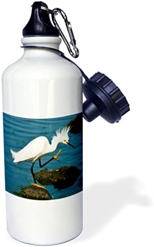 3Drose „Egret cu zăpadă” sticlă sportivă, 21 oz, alb