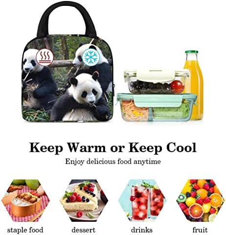 Panda Animal Paint Lunch Bag cutie de prânz izolată Picnic Bag outdoor School Travel Food Container Cooler Tote Bags pentru