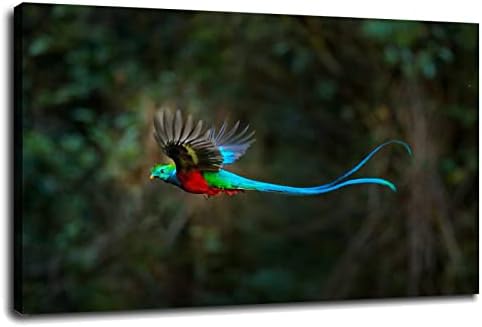 Frumoase Flying Quetzal Canvas imprimeu arta de perete pentru decorațiuni de birou de acasă cu 18 x12 încadrat