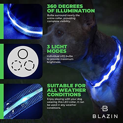 Blazin LED Light Up Dog Collar - 1.000 de picioare de vizibilitate-cea mai strălucitoare pentru Siguranța pe timp de noapte - USB reîncărcabilă impermeabil Dog Collar Light