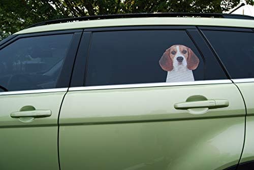 Călător în fereastră Mașina și camionul de geam Decal - Beagle