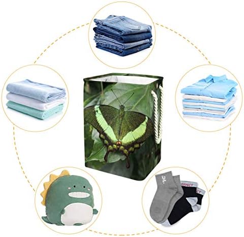 MAPOLO spălătorie împiedică fluture verde Lenjerie pliabilă coș de depozitare a rufelor cu mânere suporturi detașabile bine ținând impermeabil pentru haine organizarea jucăriilor în spălătorie dormitor