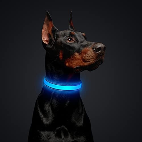 LIVIS LED COLLAR COLAR LUMINAT UP IPX7 IPURNAȚIE IPUNCĂ mai mare strălucire în gulere de câini întunecate pentru câini mici