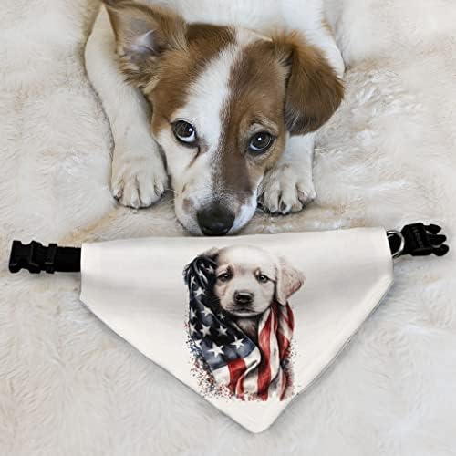 American Design Pet Bandana Guler - Guler de eșarfă de imprimare - Graphic Dog Bandana - XL