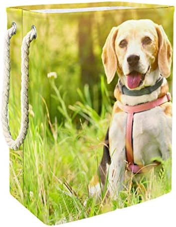Coșuri de rufe impermeabile câine pliabil înalt robust în iarbă împiedică imprimarea pentru copii adulți băieți adolescenți