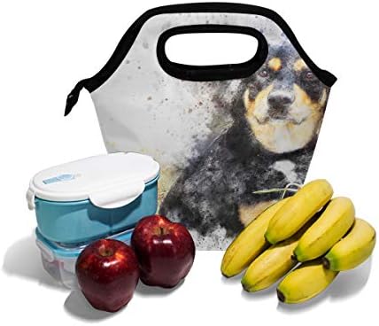 HEOEH Alaska câine acuarelă pictura prânz sac Cooler Tote sac izolate fermoar prânz cutii Geantă de mână pentru birou școală