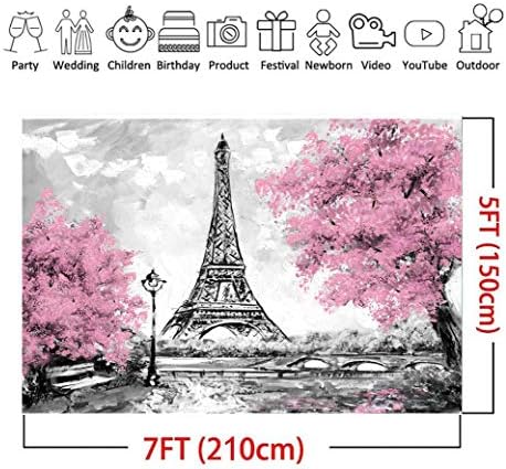Art Studio fotografie Fundaluri Turnul Eiffel nunta tema petrecere fotografie fundal roz flori copaci gri Paris Photo Studio