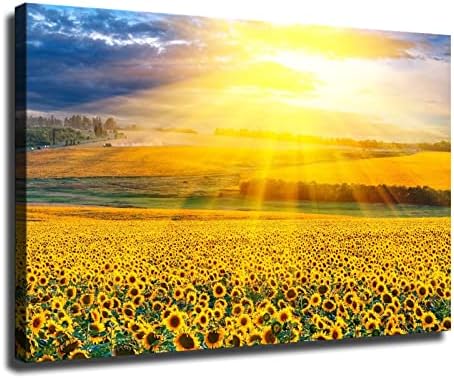 Lumina soarelui strălucește pe câmpuri de floarea -soarelui, flori și plante poster poster tipărire decorare artă decorare