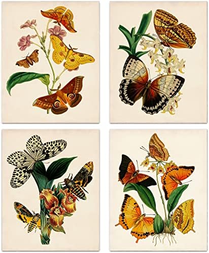 Mooxo retro botanic fluture imprimeuri de artă de perete, fluture vintage arta de perete, fluture floral natură estetică pentru